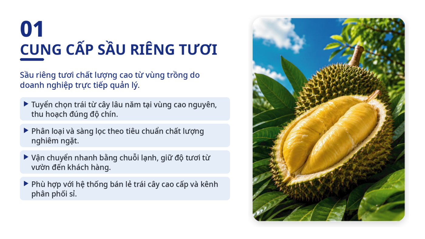 Công Ty TNHH DakAgo