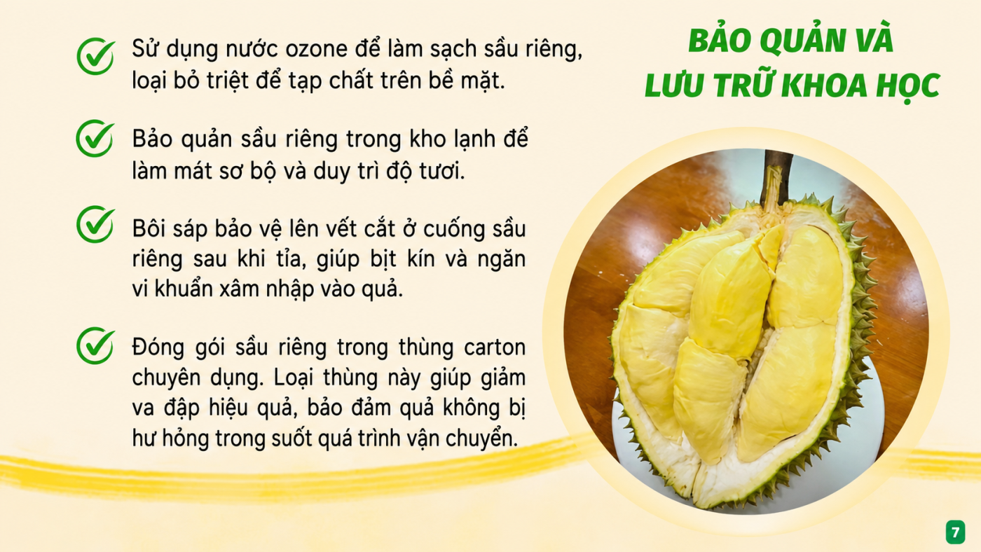 Công Ty TNHH DakAgo