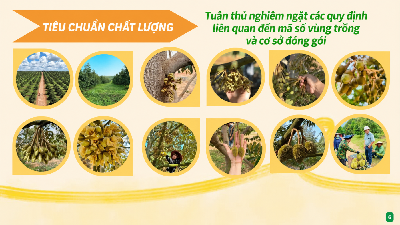Công Ty TNHH DakAgo