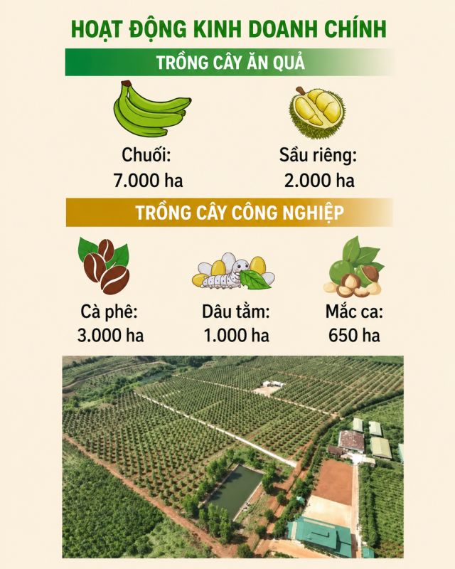 Công Ty TNHH DakAgo